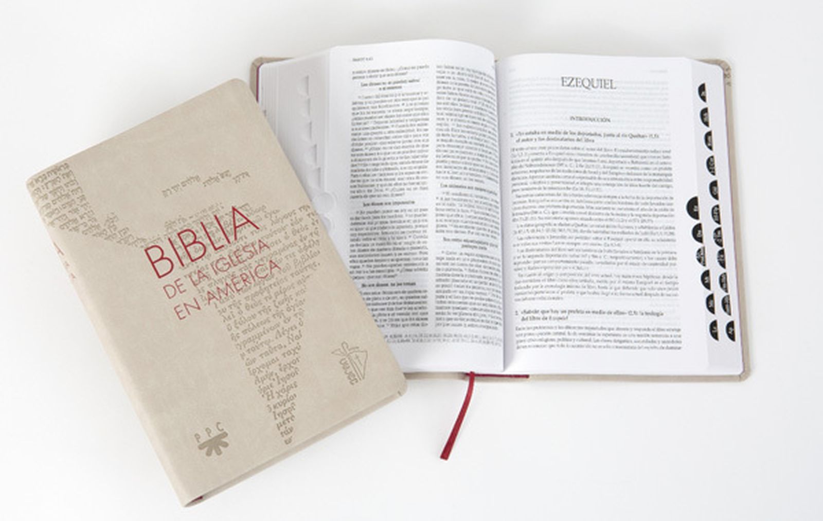 La nueva Biblia