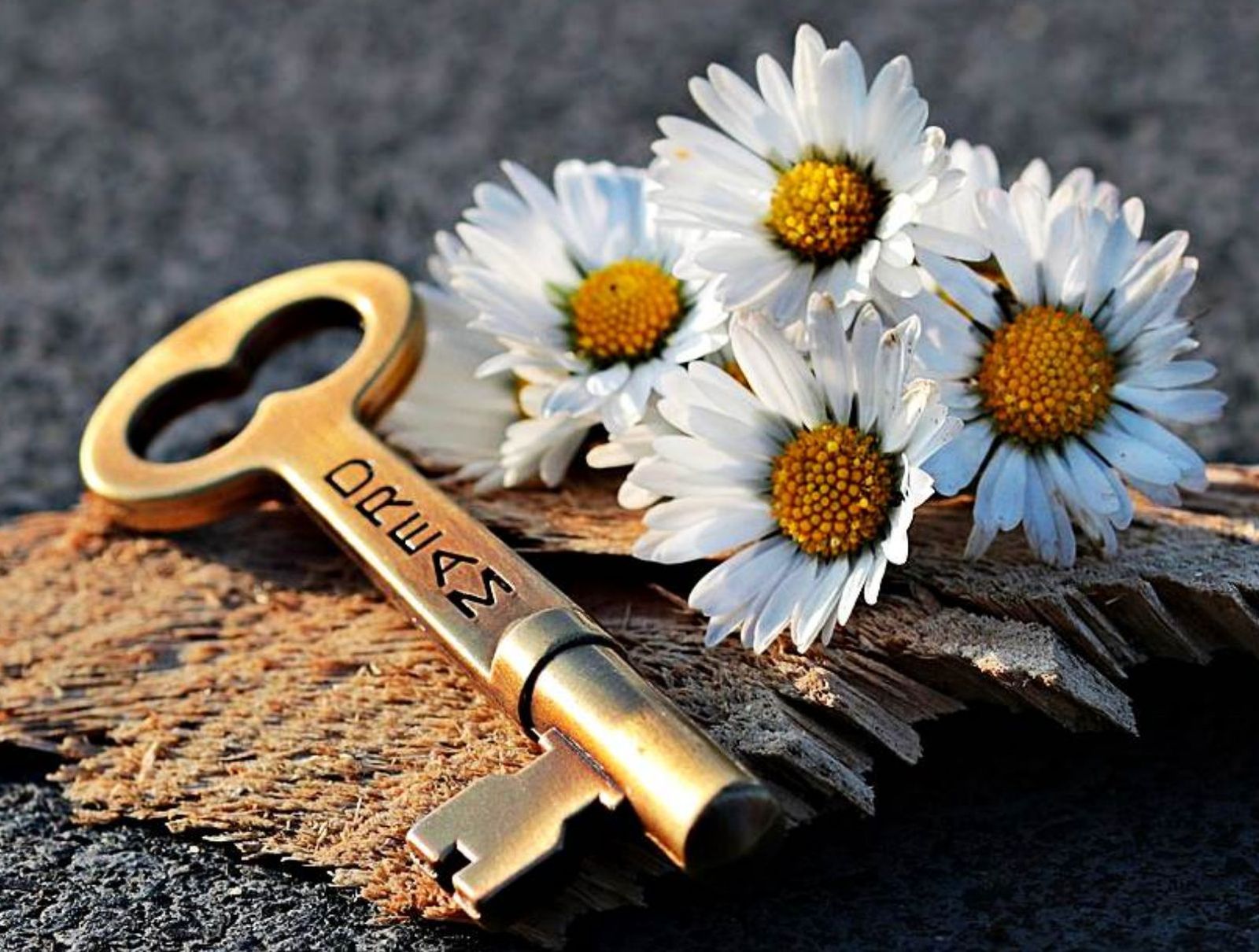 La llave del silencio