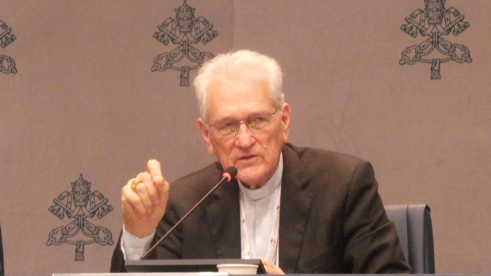 Cardenal Steiner