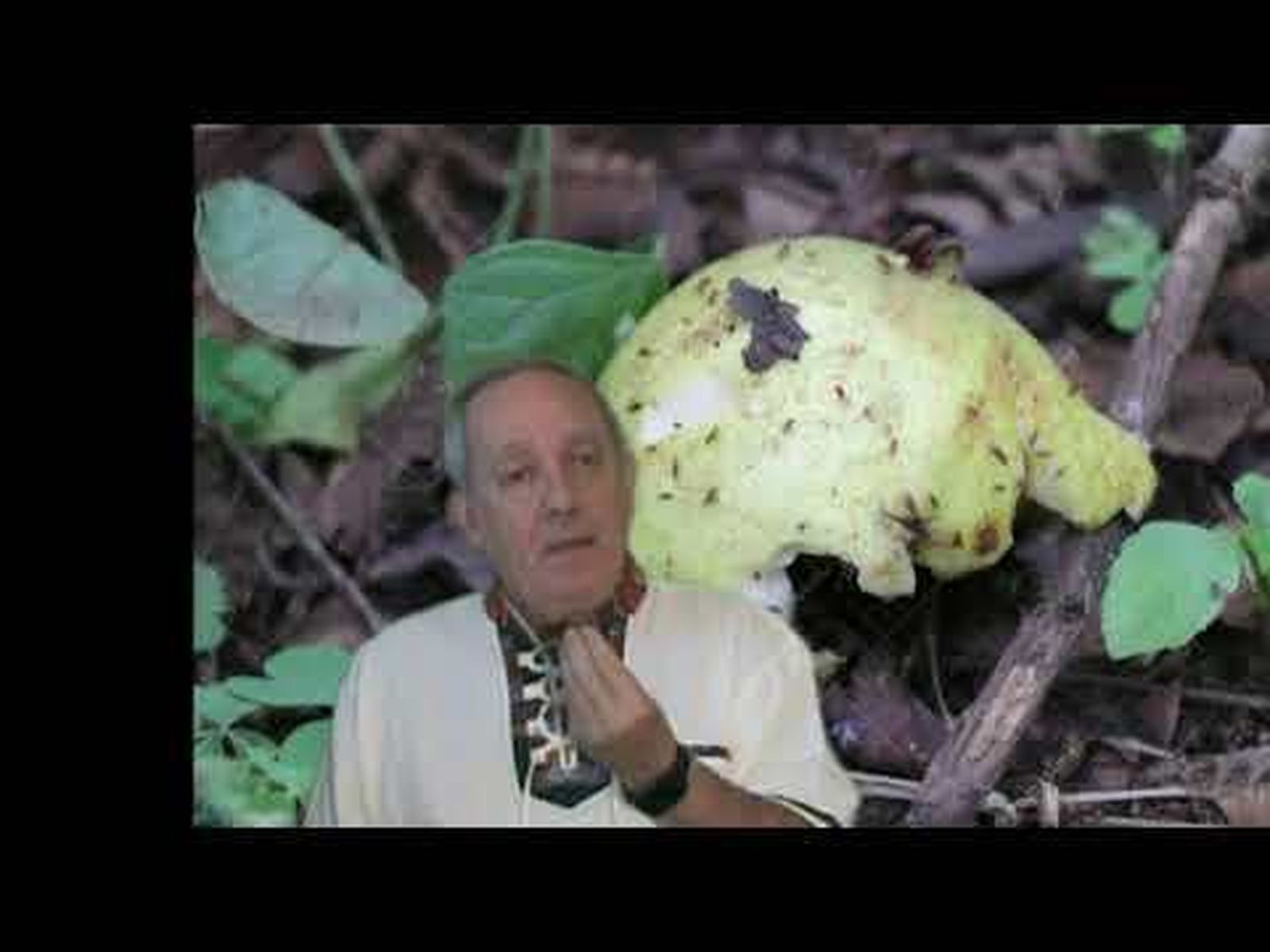 Los dirigentes de la comunidad deben pasar por el filtro de la fidelidad