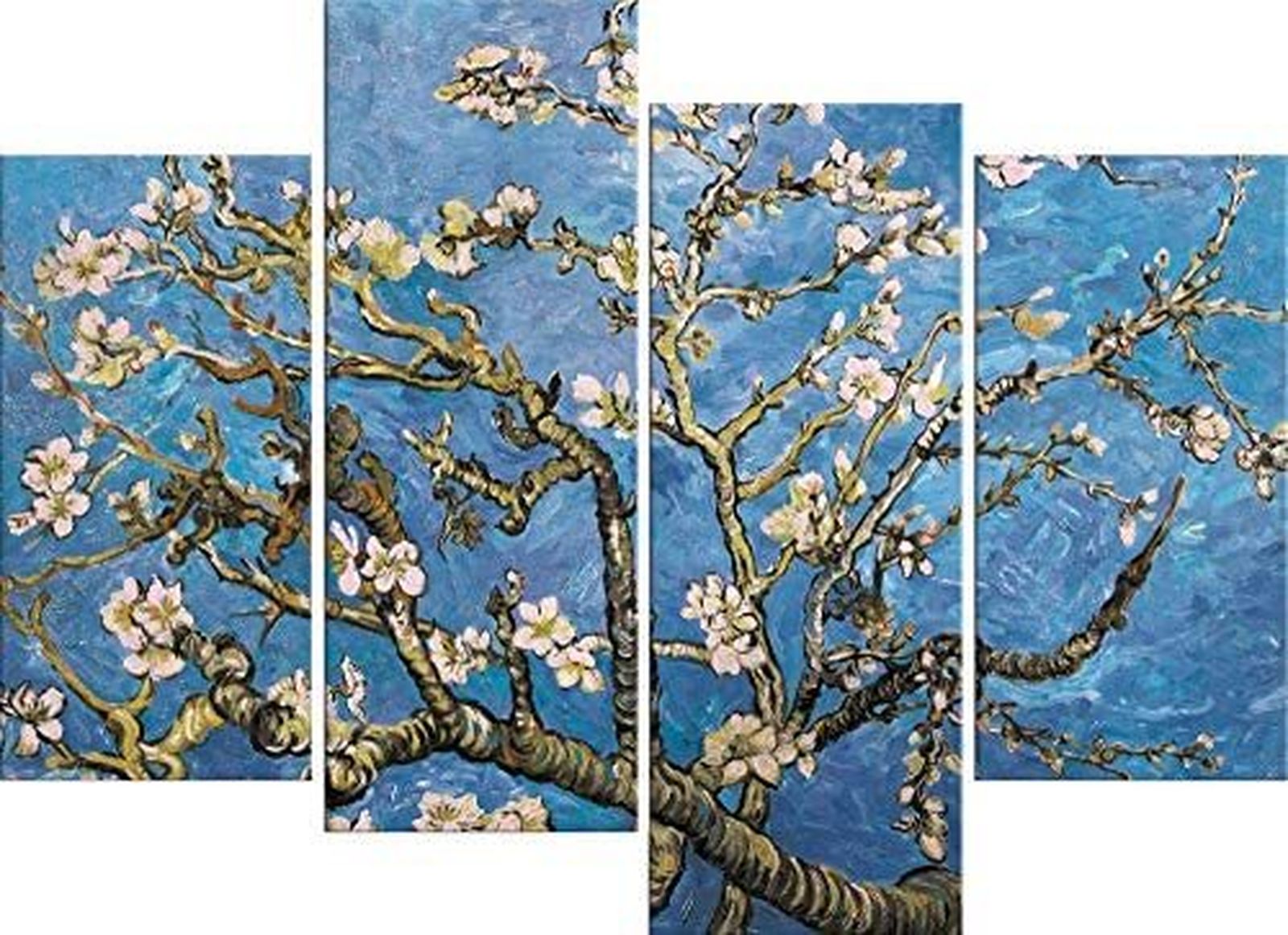 Sororidad compartida