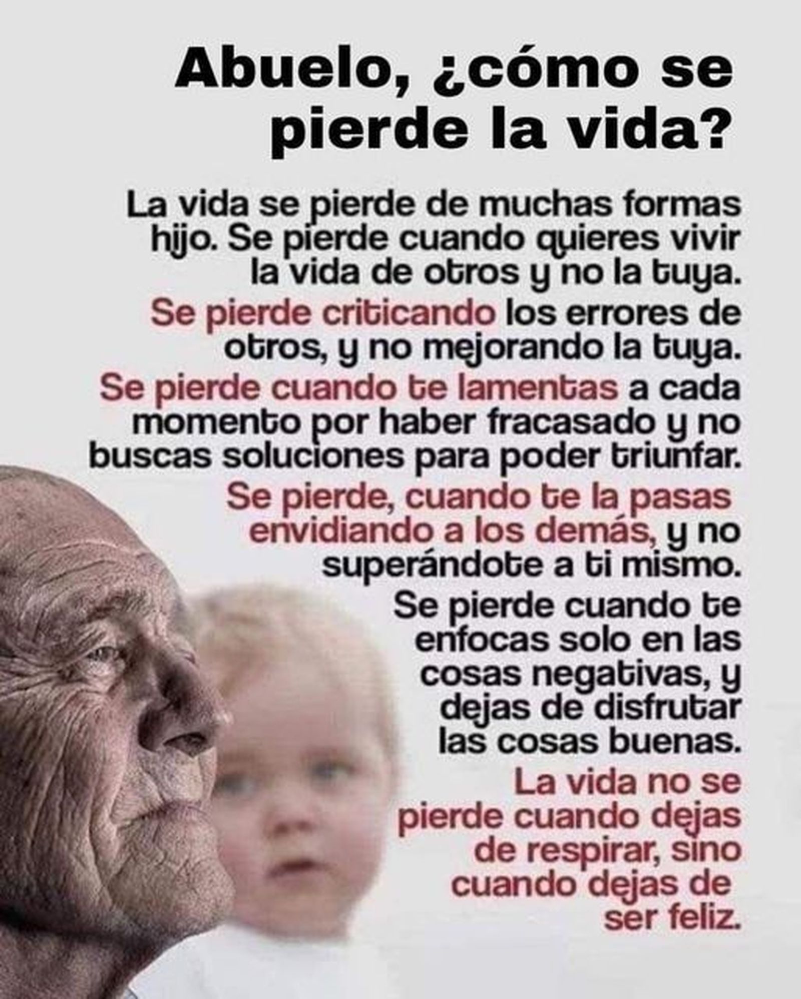 277311261_492125659200985_1237994538775438167_n