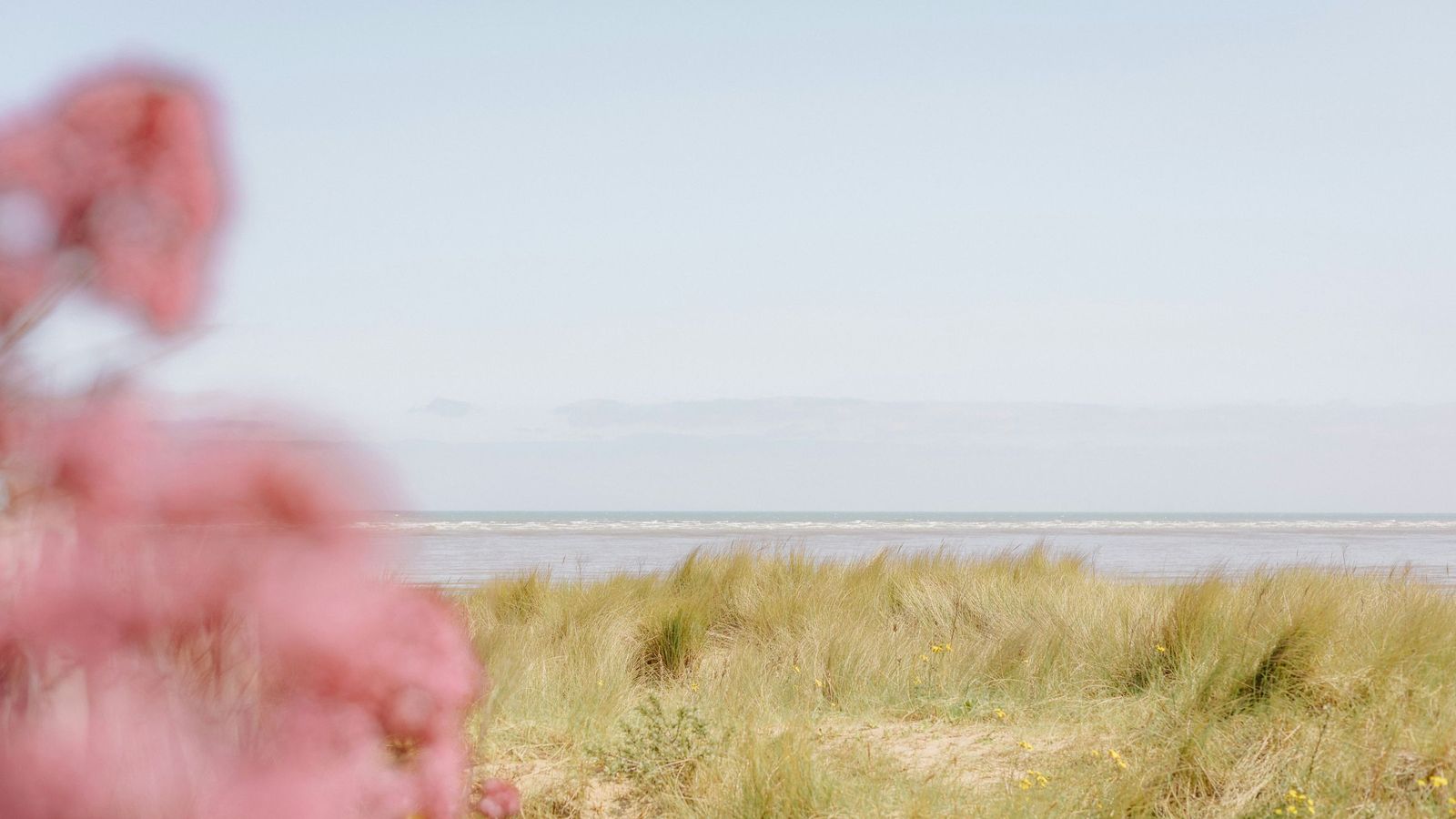 Título para mi imagen