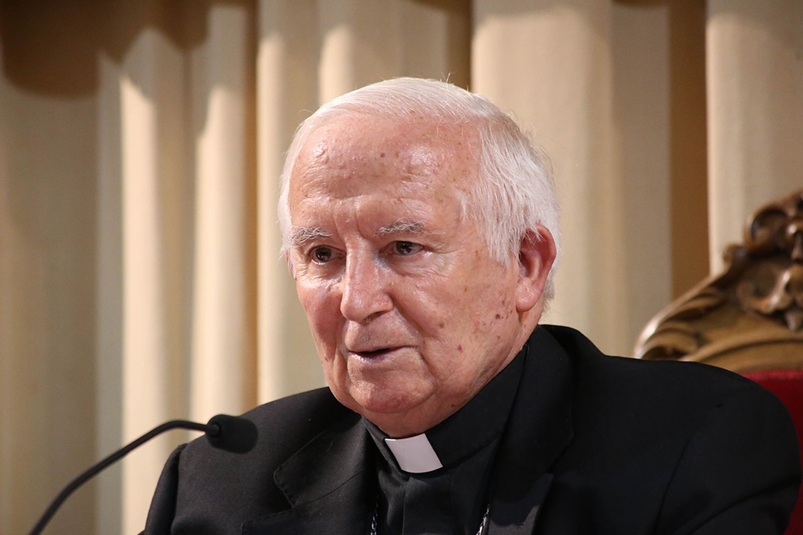Cardenal Antonio Cañizares