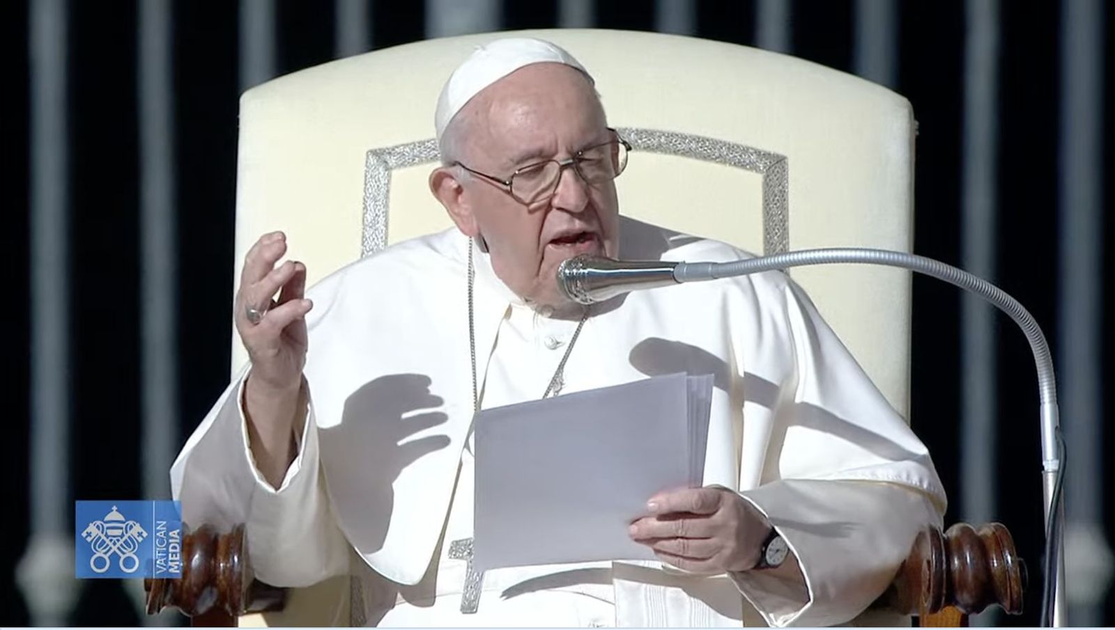 El Papa durante la catequesis