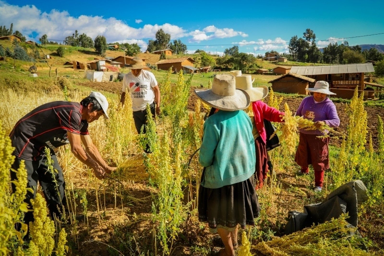 Manos Unidas, Perú y Ecuador