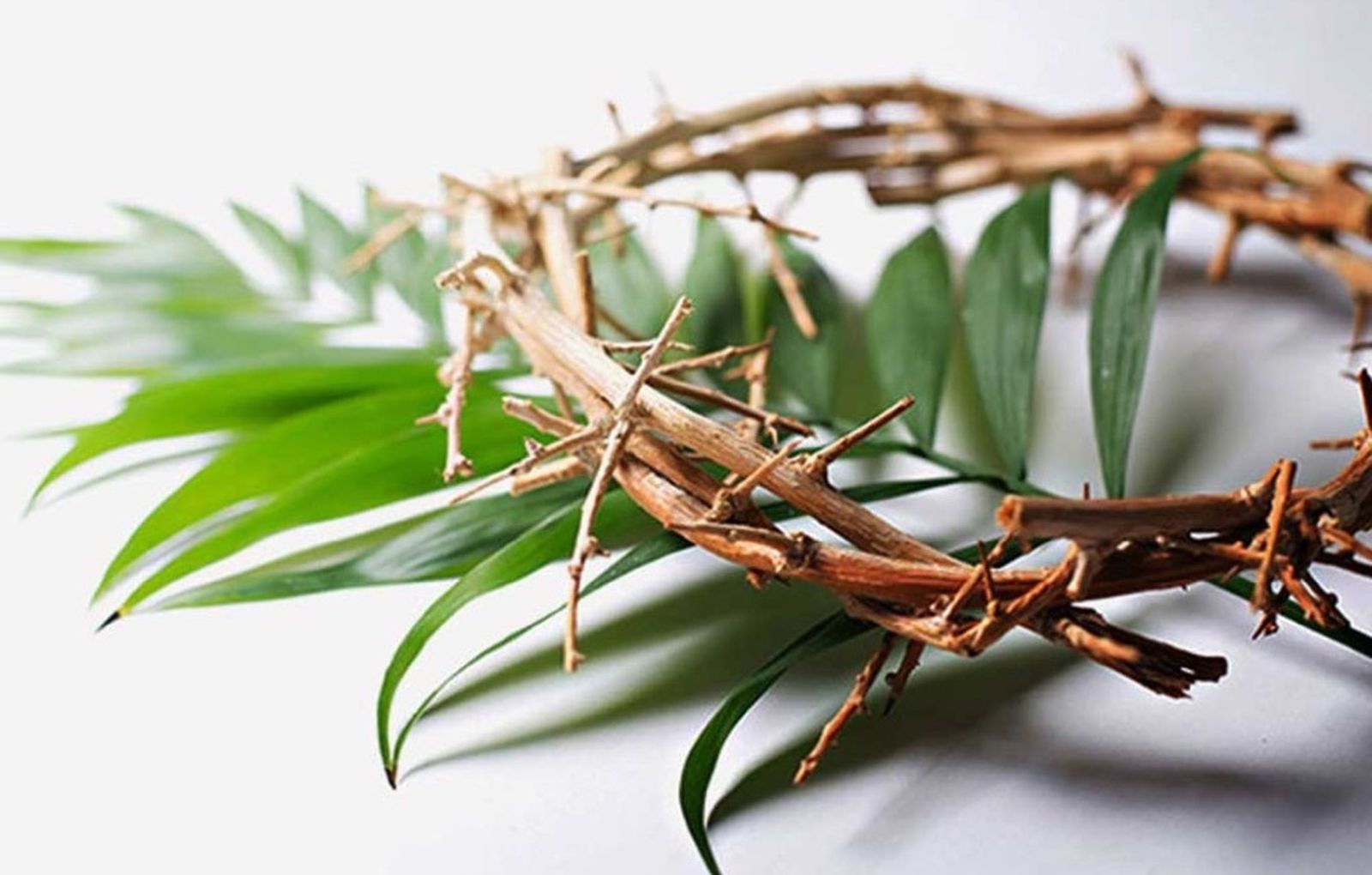 Dos pasiones y dos procesiones