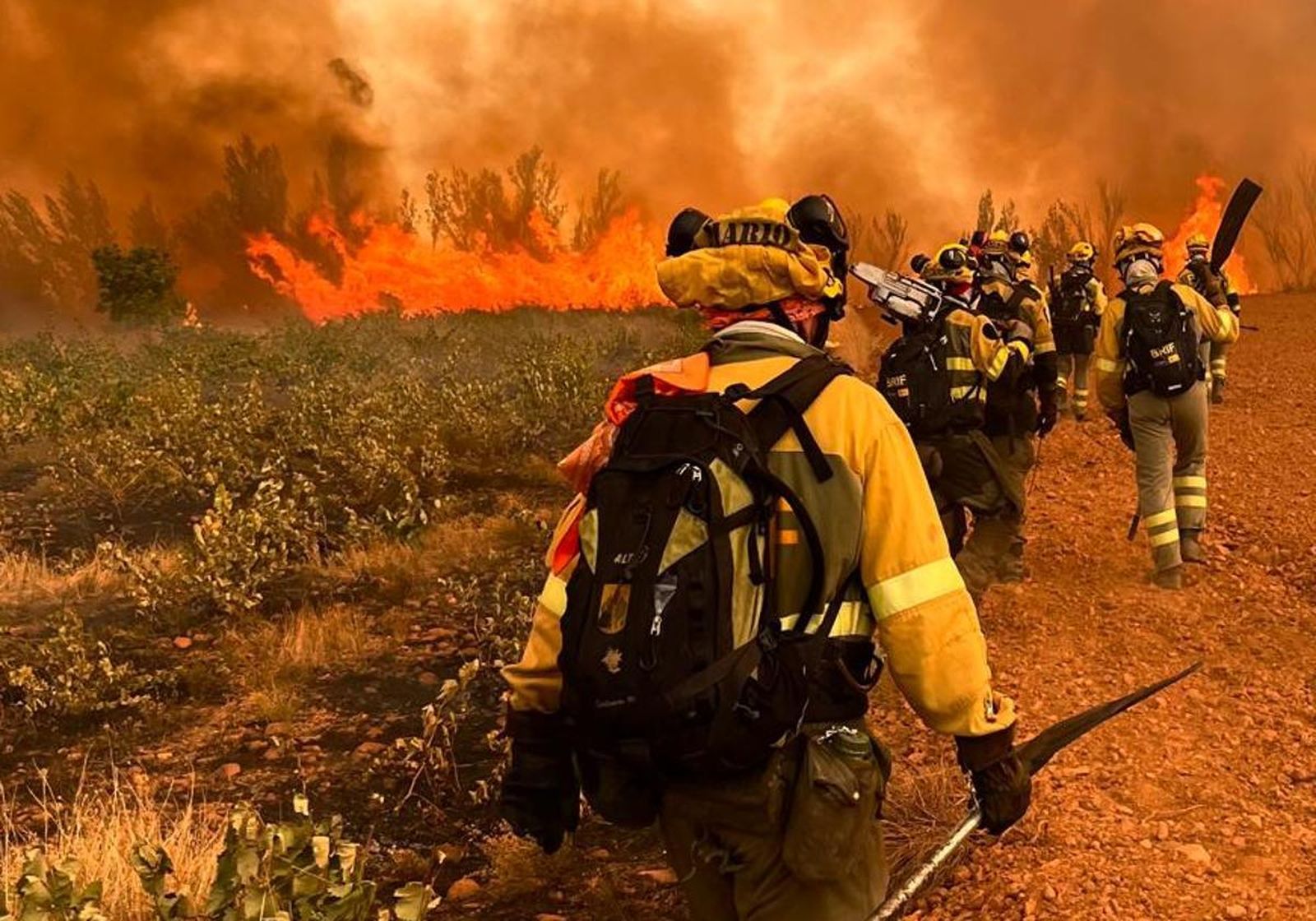 Brigadistas en incendios de León