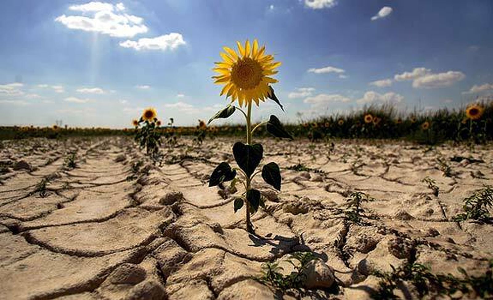 Calentamiento global