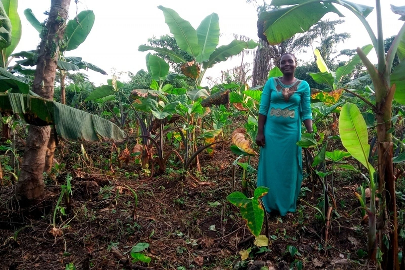 Mujer desplazada. Camerún.