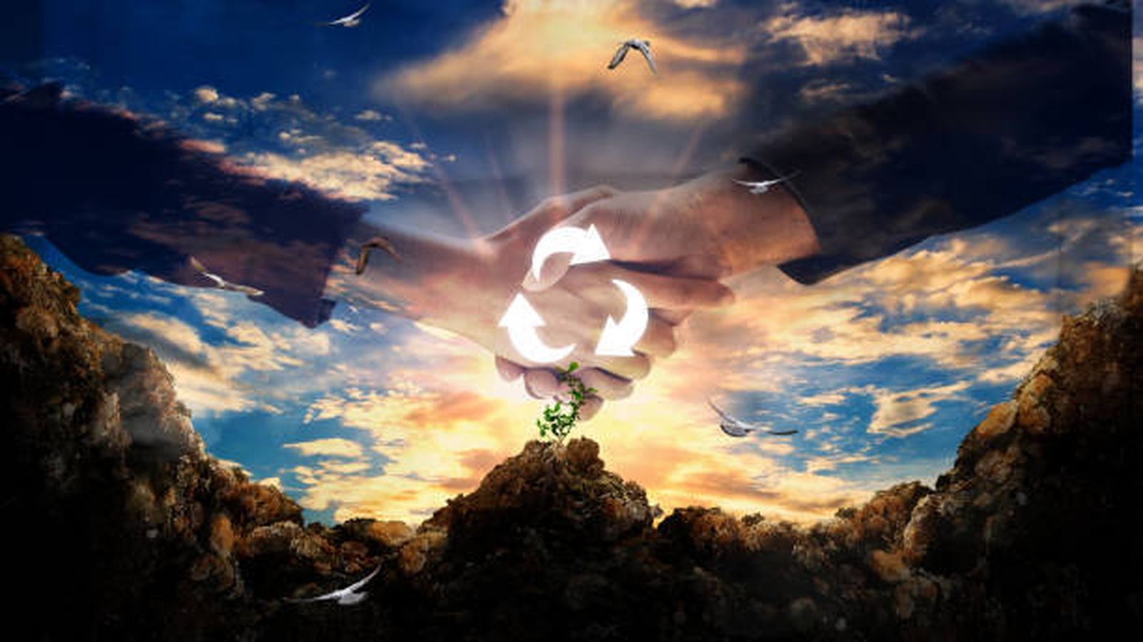 ❤«No apartes tu rostro del pobre» (Tb 4,7) Papa Francisco ( l- IV)