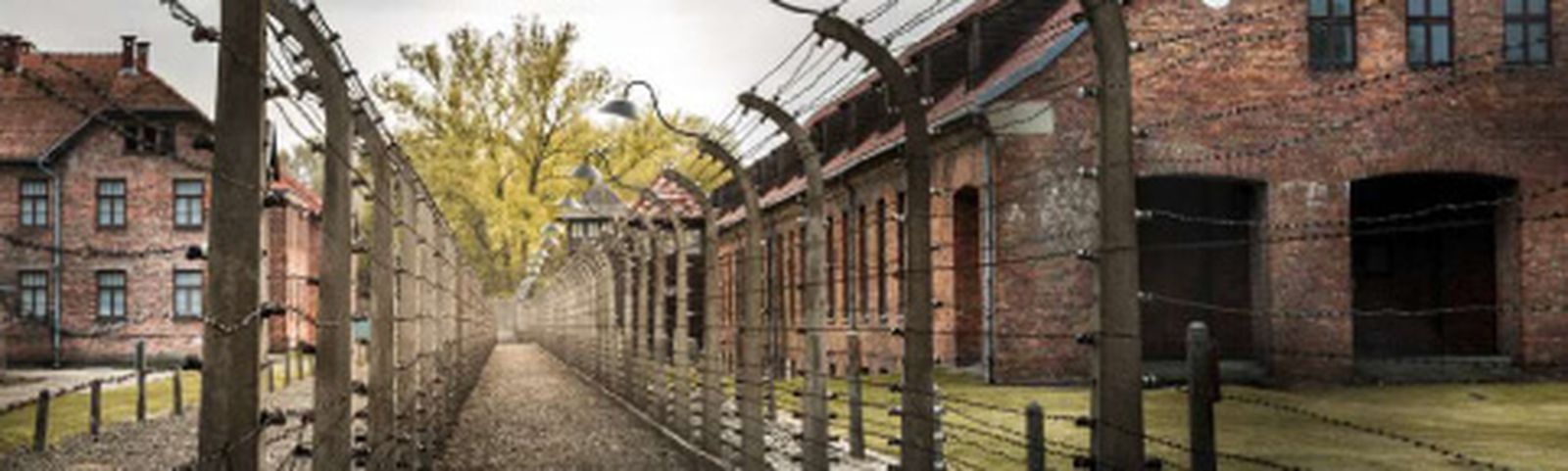 Challenge Auschwitz.