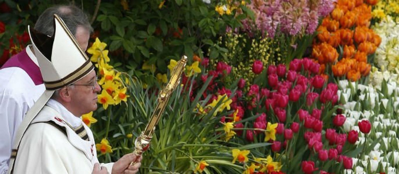 La primavera del Papa Francisco