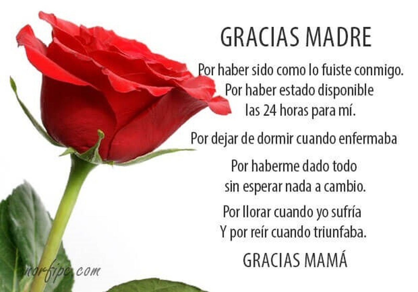 El día de la madre