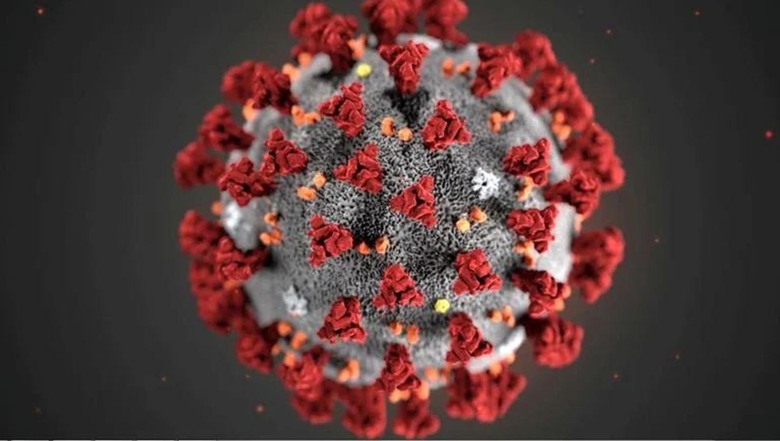 ¿ES MALO EL COVID-19?