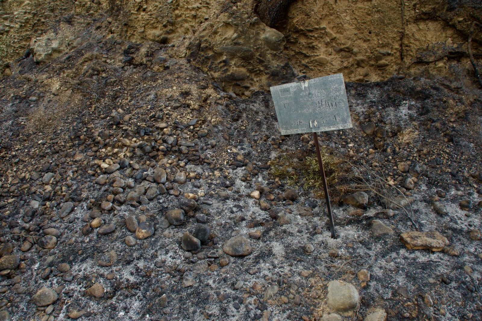 Incendio en el Baix Ebre