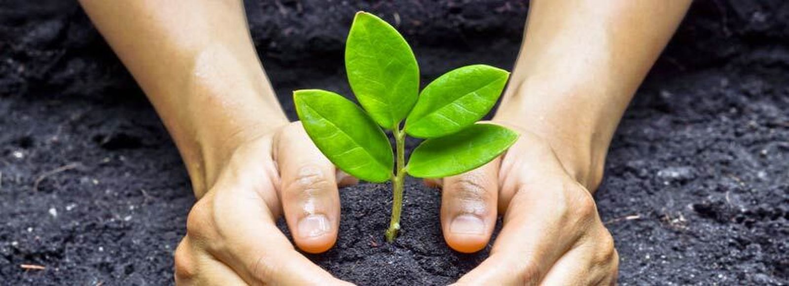 De todos depende el nuevo año