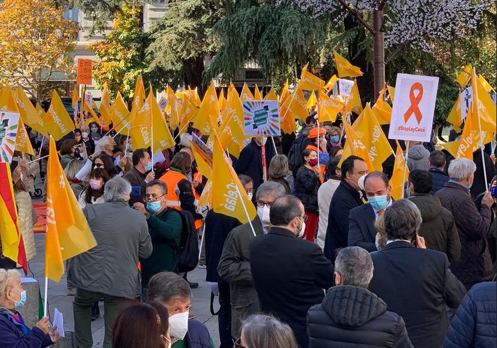 Manifestación de la concertada