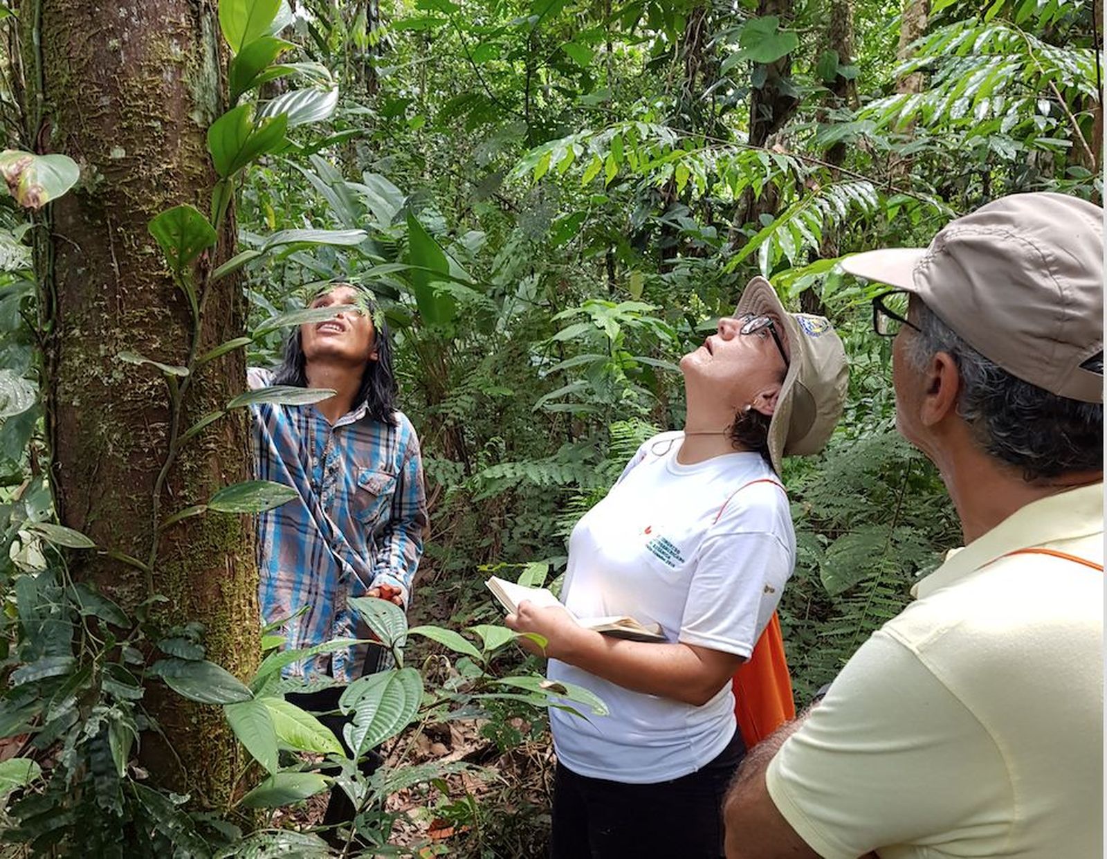 Observando la naturaleza