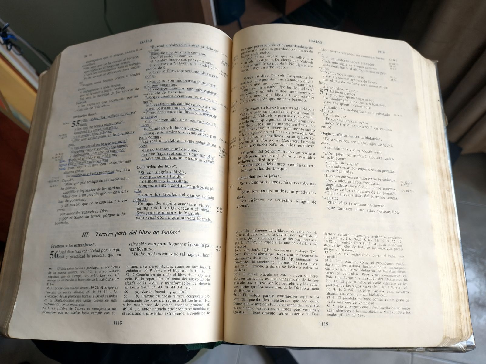 La Sagrada Escritura como fuente de vida y fecundidad cristiana