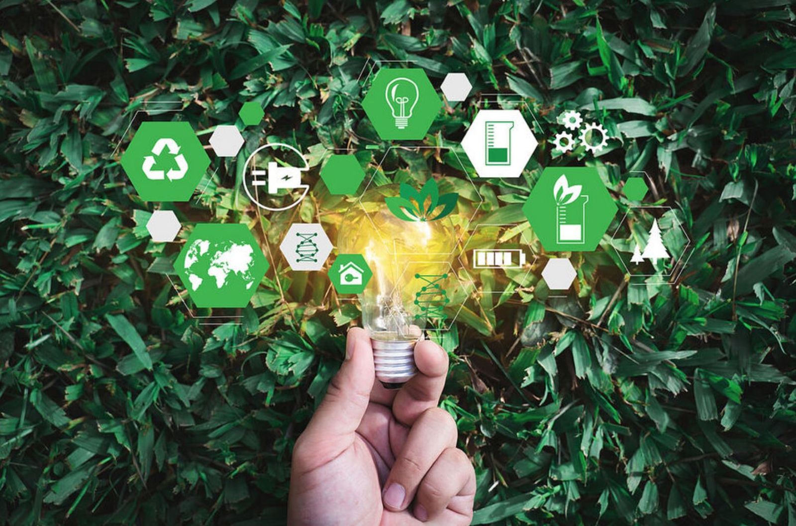 Inversiones coherentes