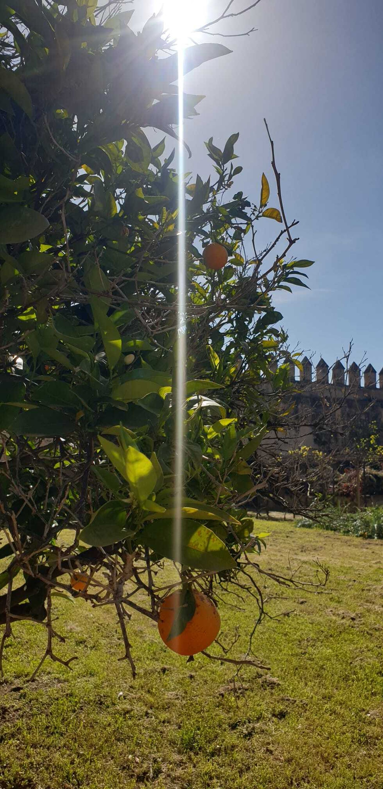 Interior convento de santa Isabel de Mallorca
