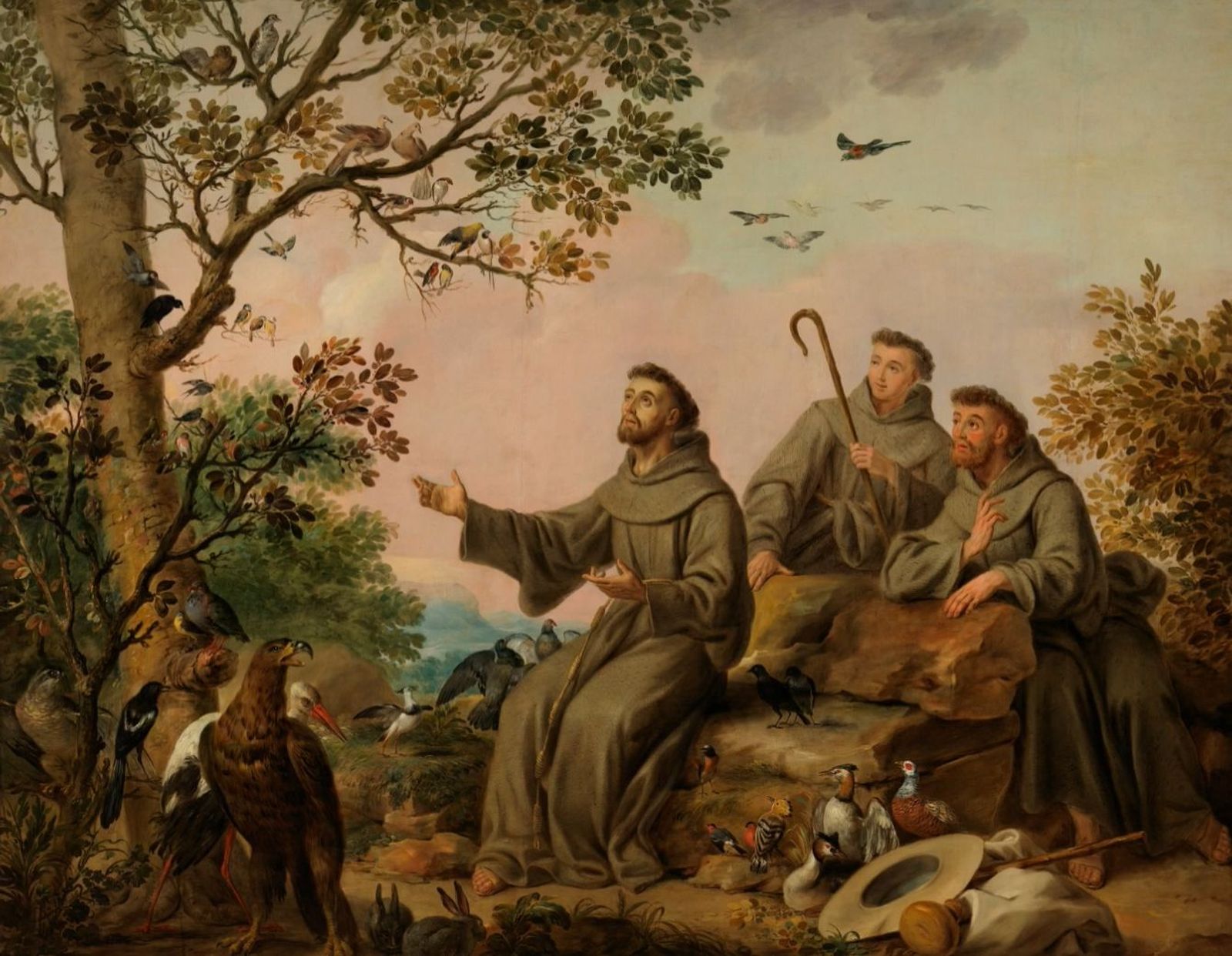 Contemplación de la creación