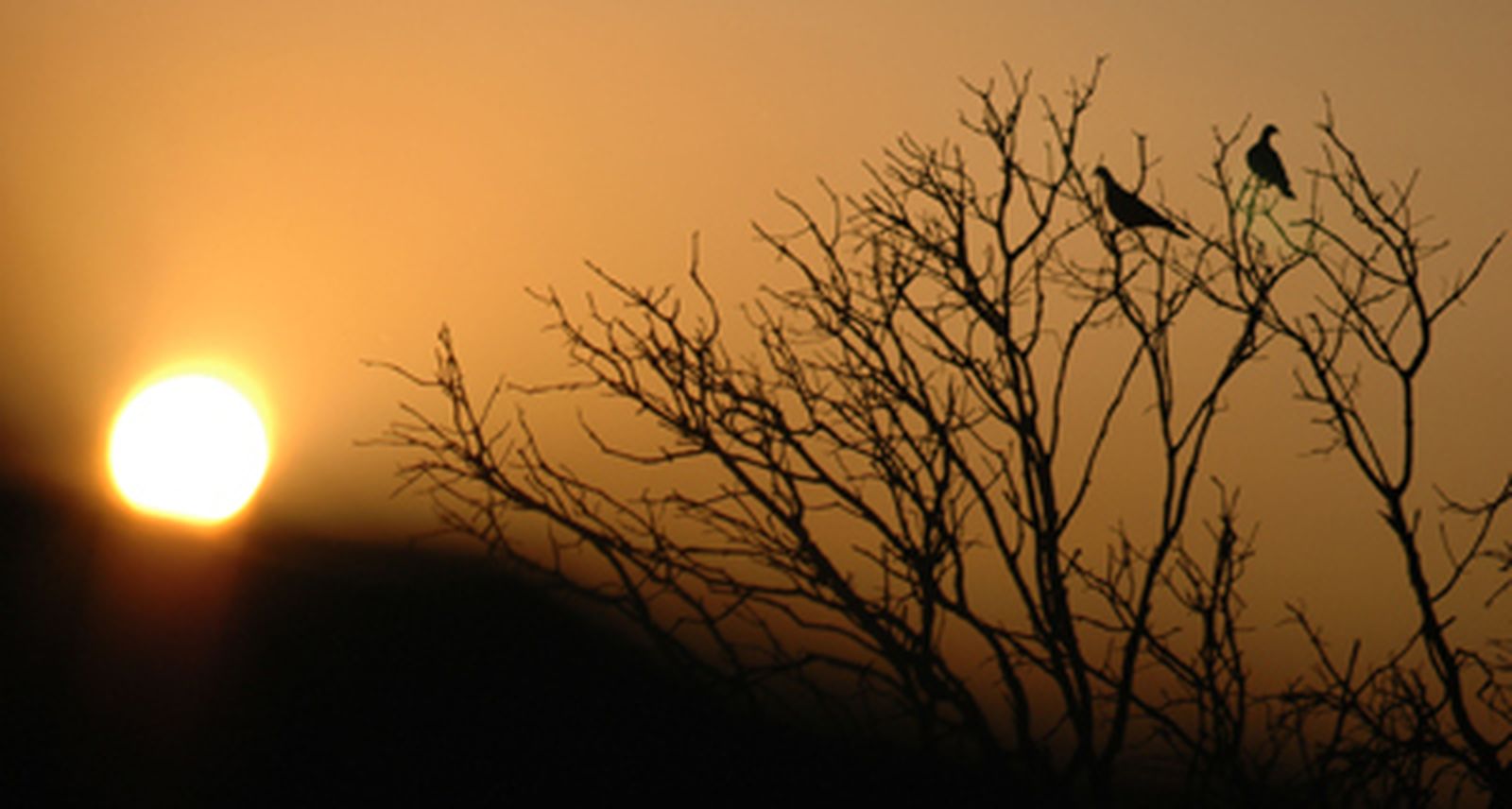 Santificar EL DÍA 1