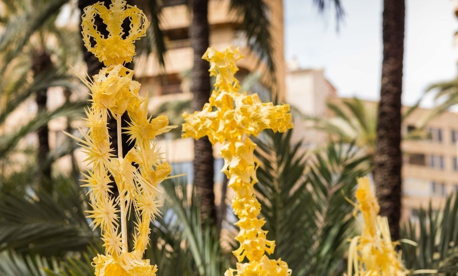 Palmas blancas para el Papa y los obispos de Orihela y Solsona