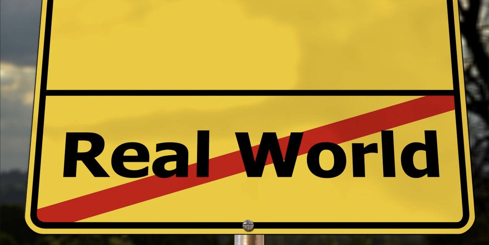 Partir de la realidad