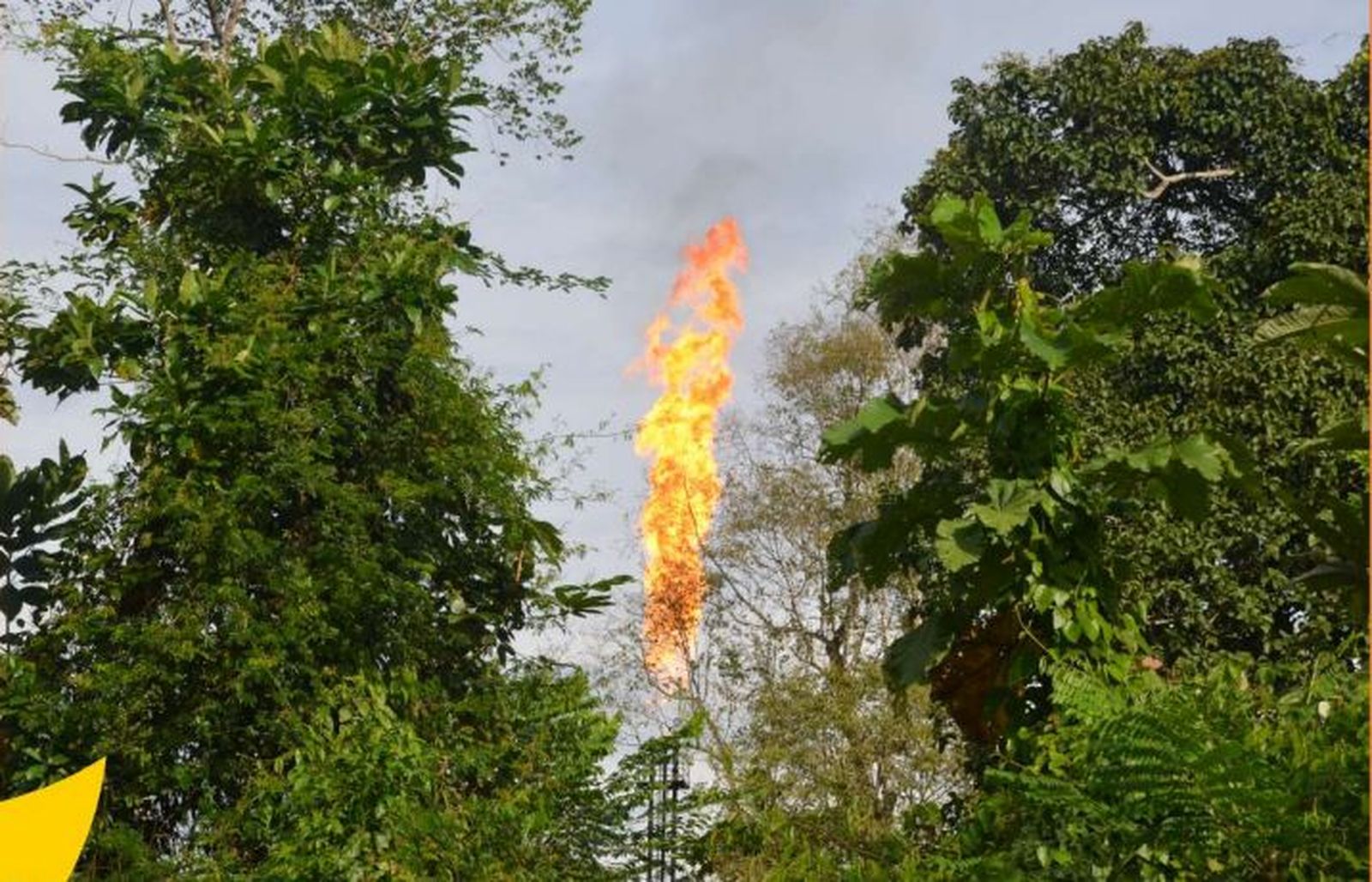 40 días navegando con Laudato Si en la Querida Amazonía
