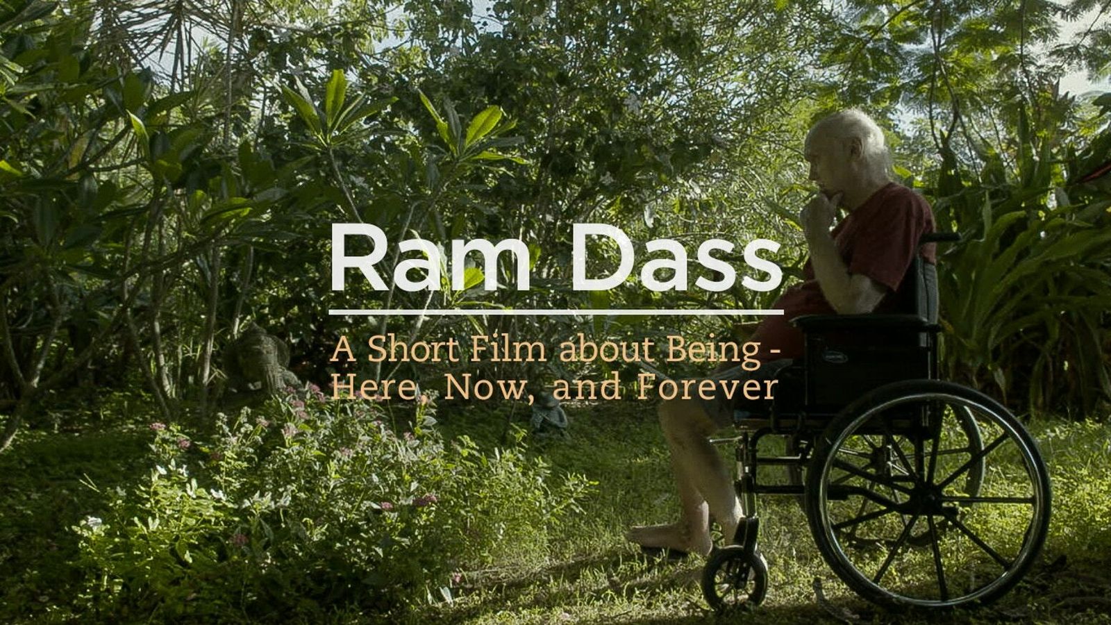 Fotograma del documental 'Ram Dass Going Home'