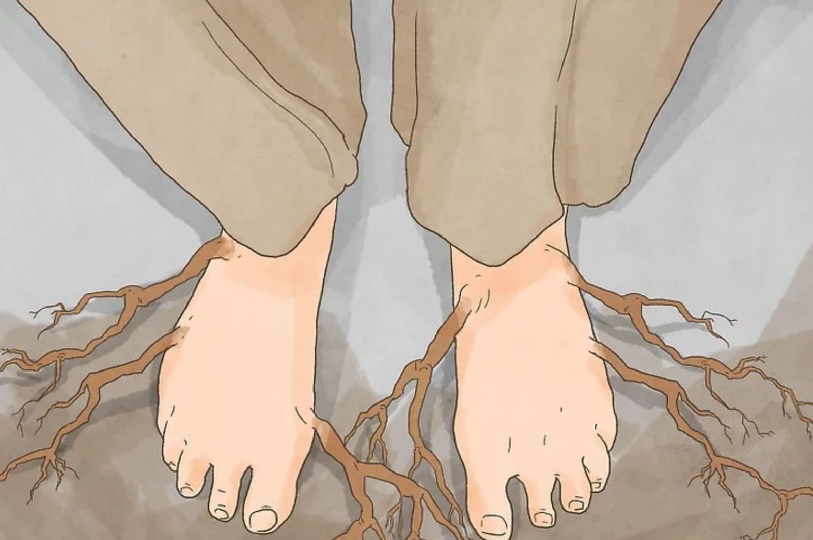 Aprender a hacer las conexiones