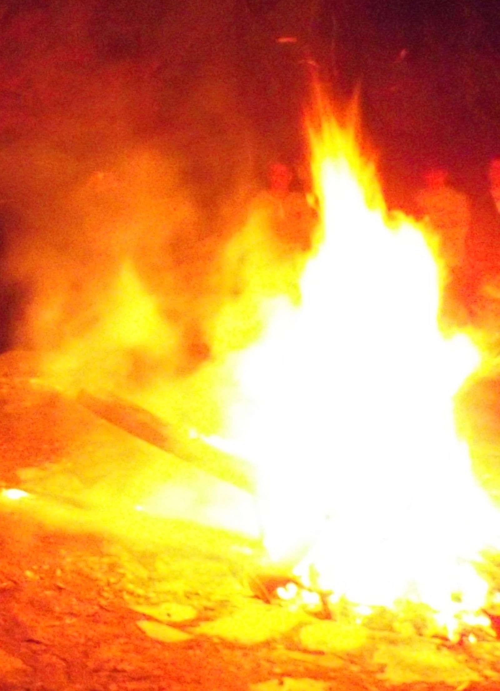 17 de agosto, XX Domingo del Tiempo Ordinario