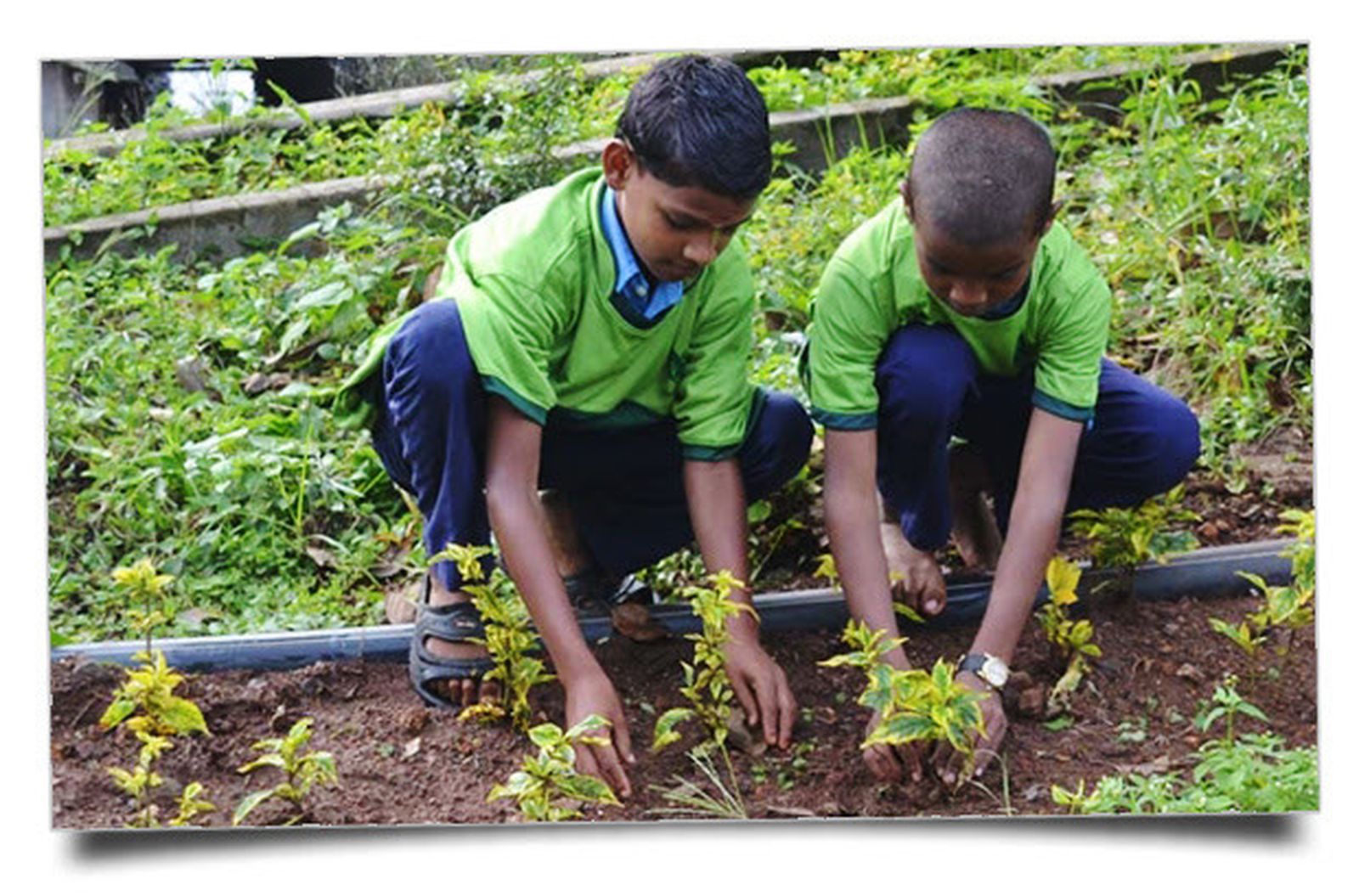 Un mundo mejor. ico años de Laudato Si'
