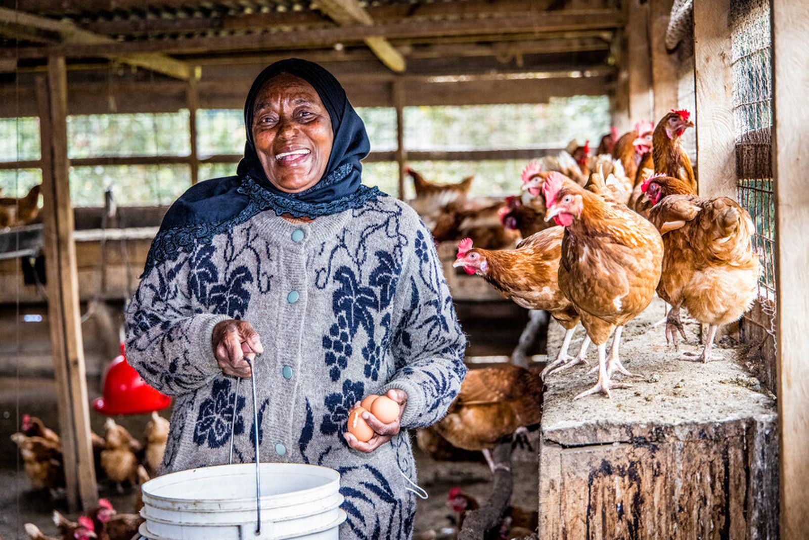 Oikocredit, la cooperativa de inversión que genera impacto real en otras cooperativas