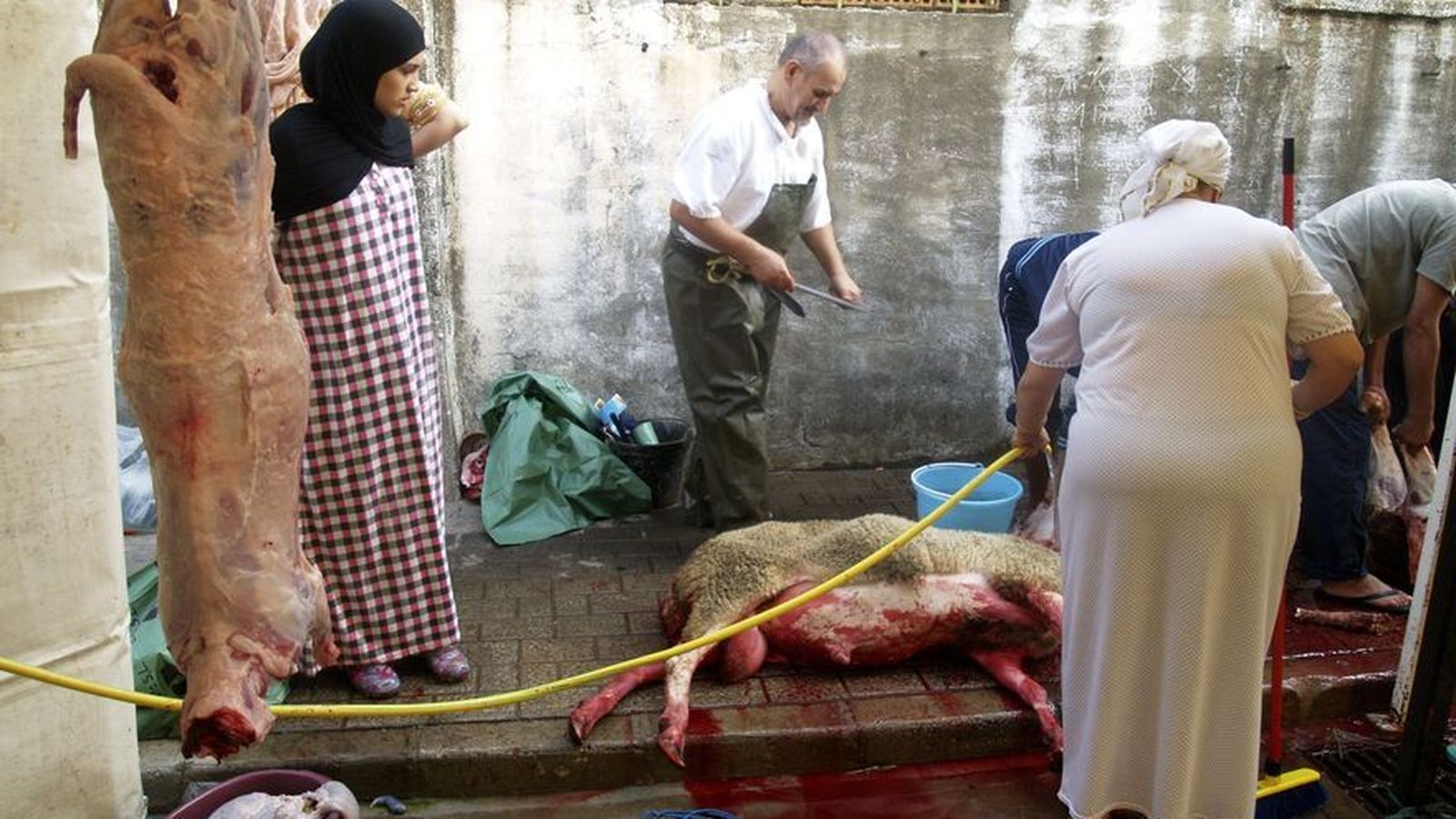 Ceuta suspende el tradicional rito musulmán del cordero