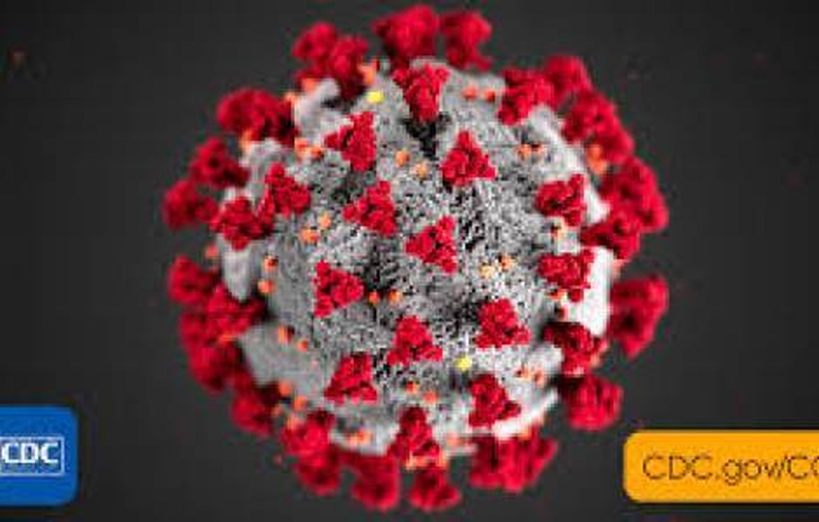 Obispos congoleños alertan sobre el coranvirus