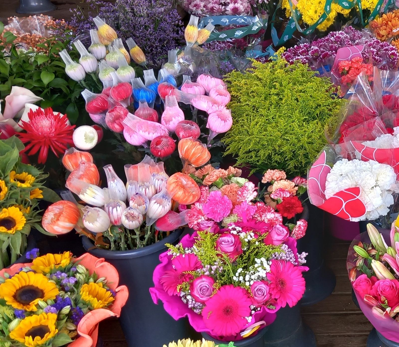 3 de Mayo: Madre de la Iglesia