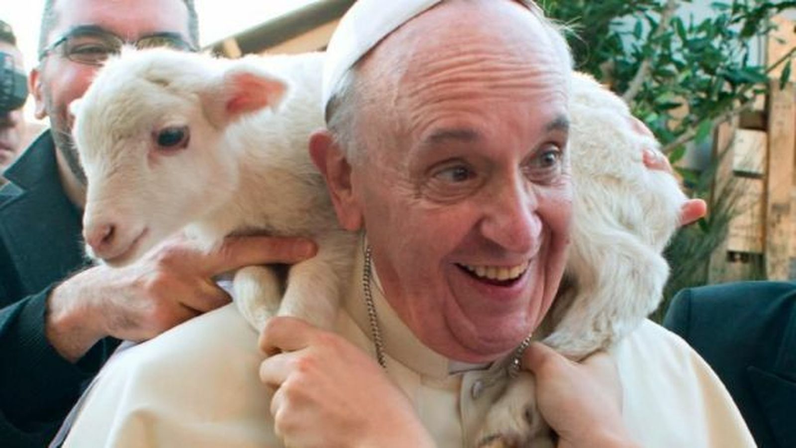 Francisco, y las ovejas perdidas