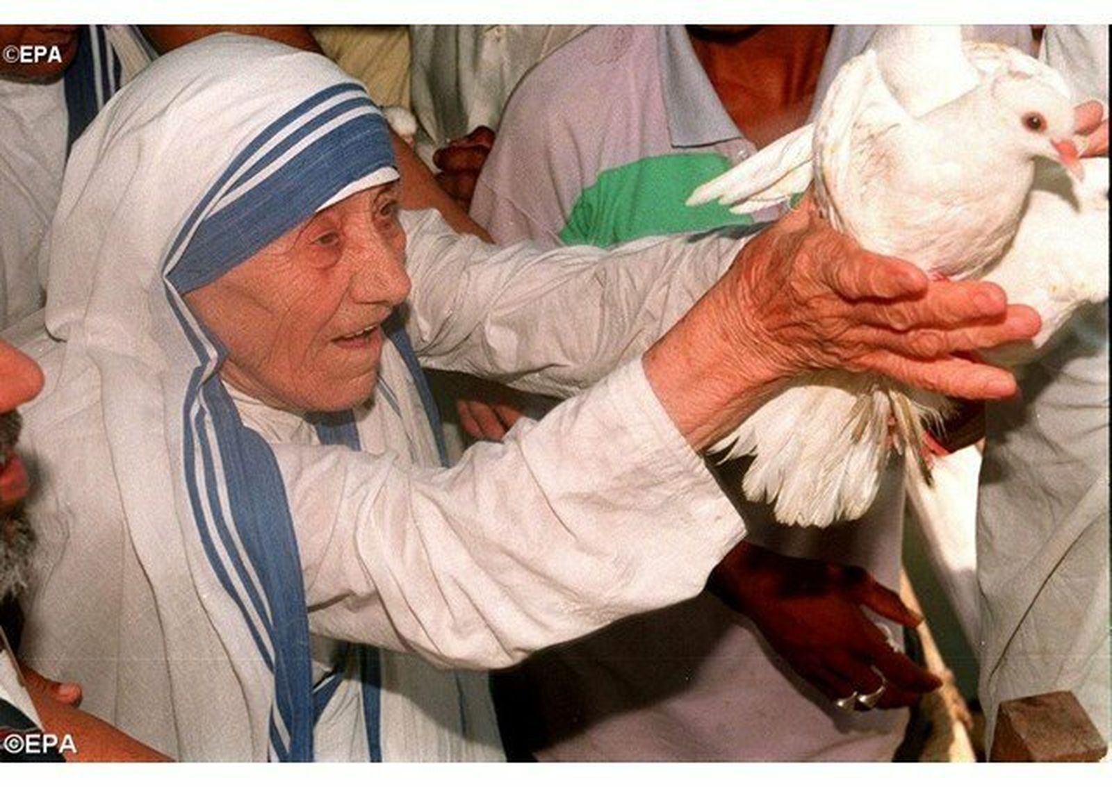 Teresa de Calcuta, santa