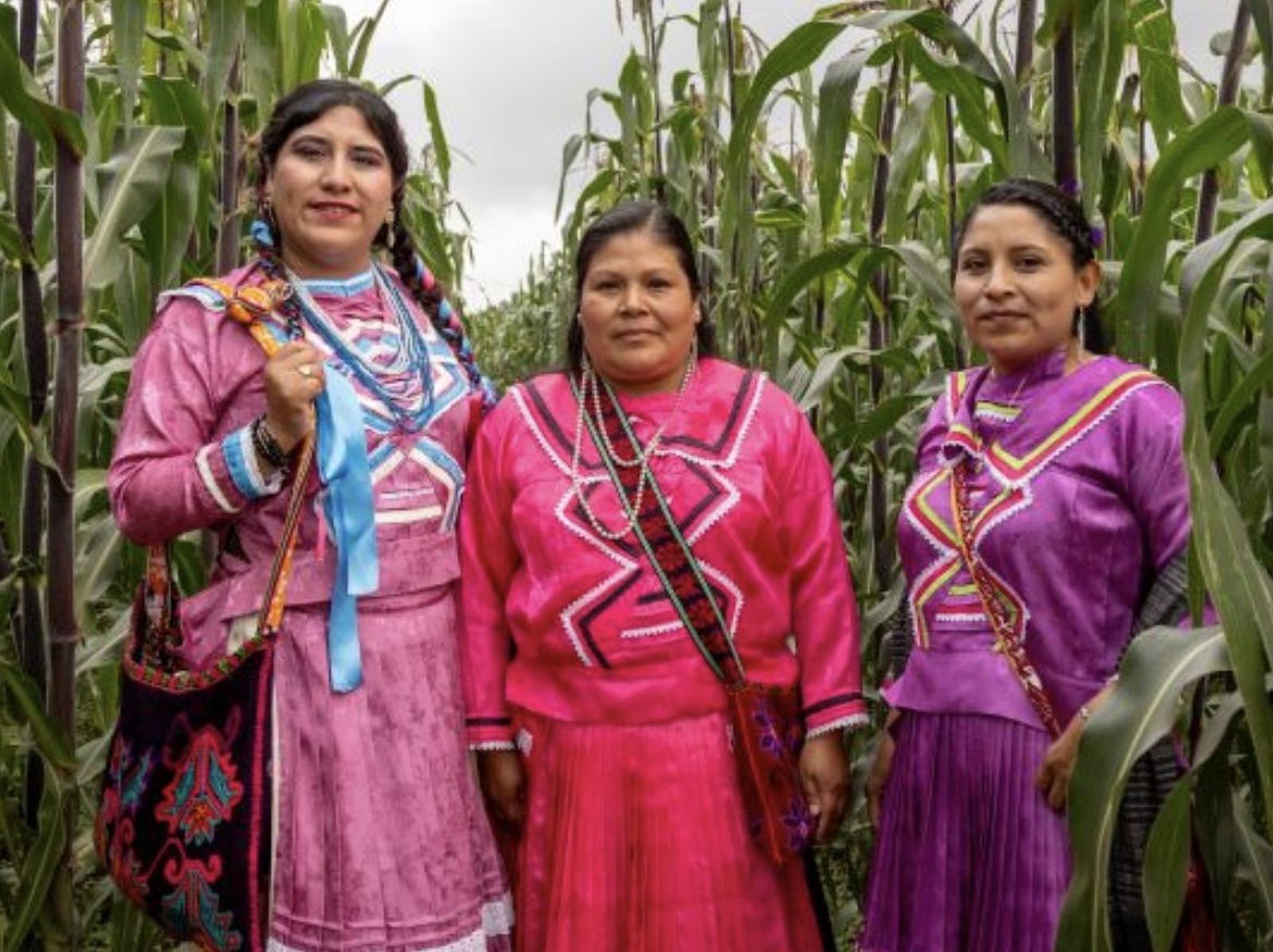 Imagen del cartel del Foro de los Pueblos Indígenas