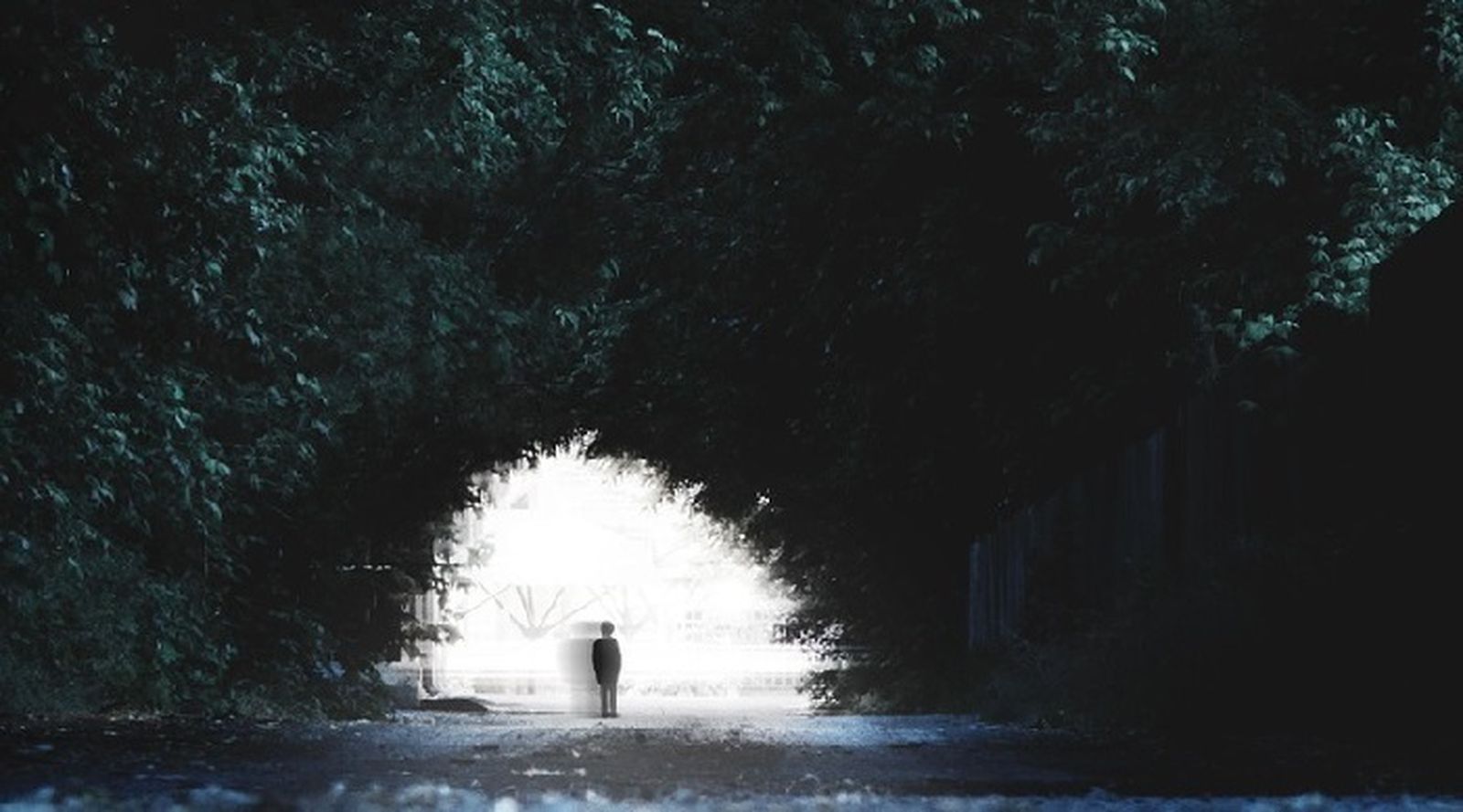 Retorno a las cavernas