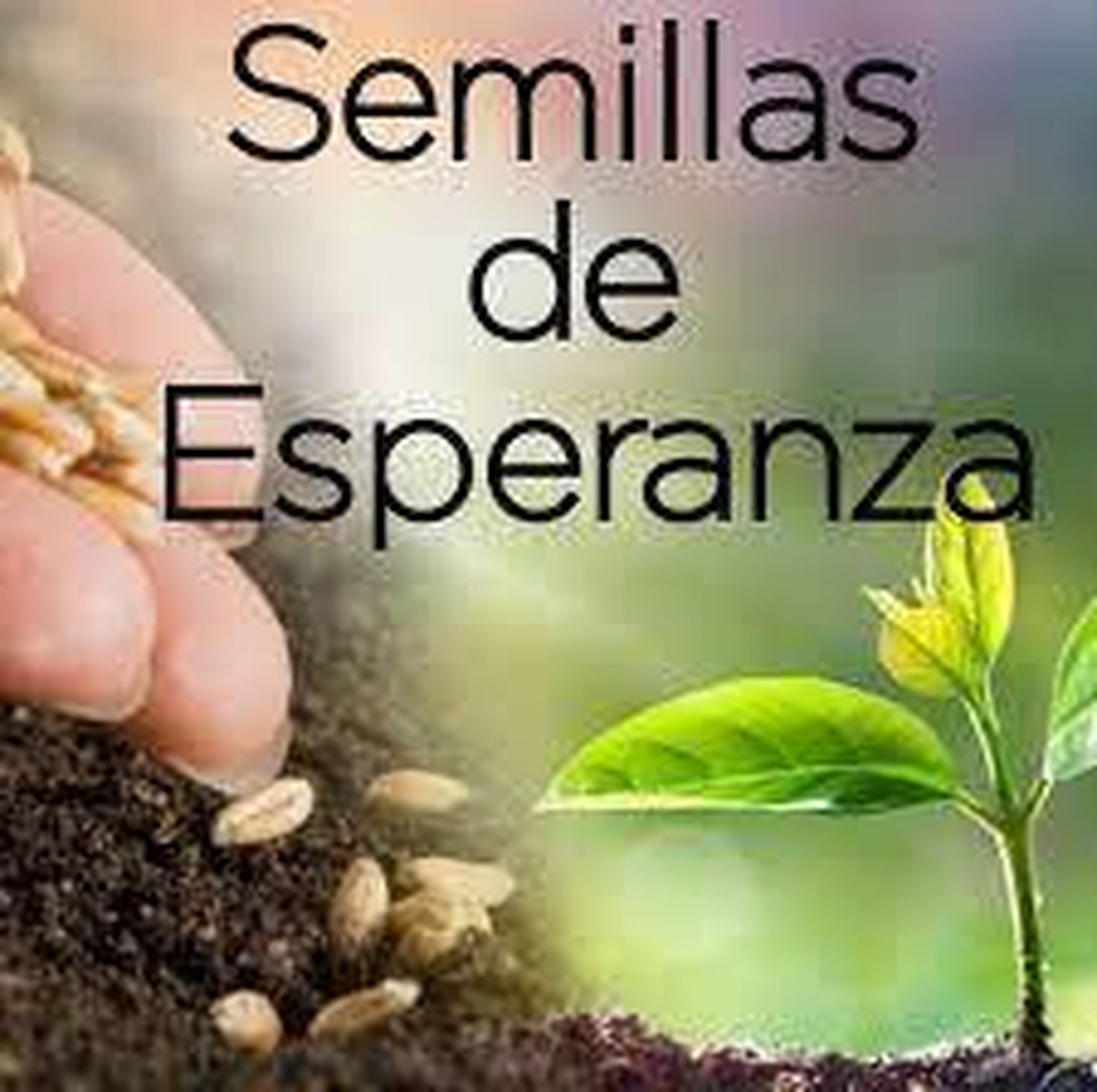 Semillas de esperanza