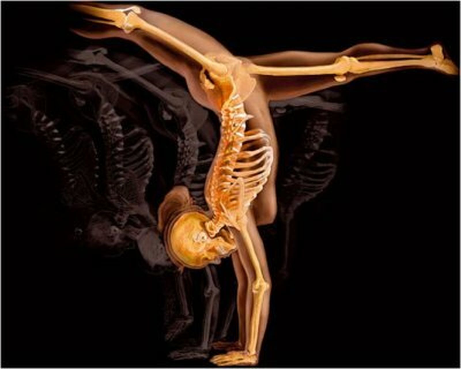 Belleza y ciencia humanas