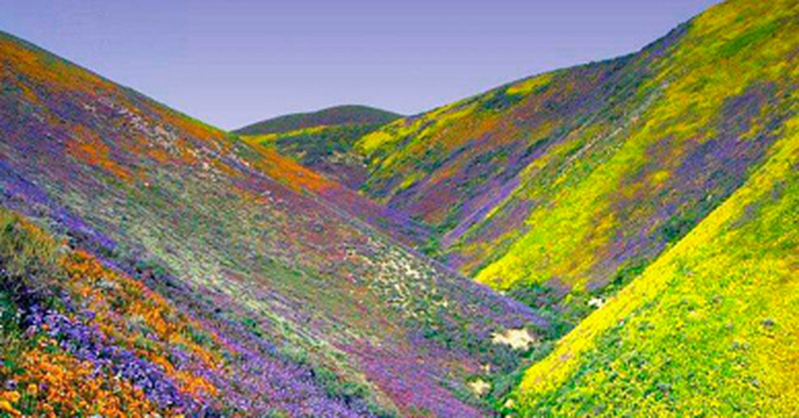 Versos para orar en la NATURALEZA 3