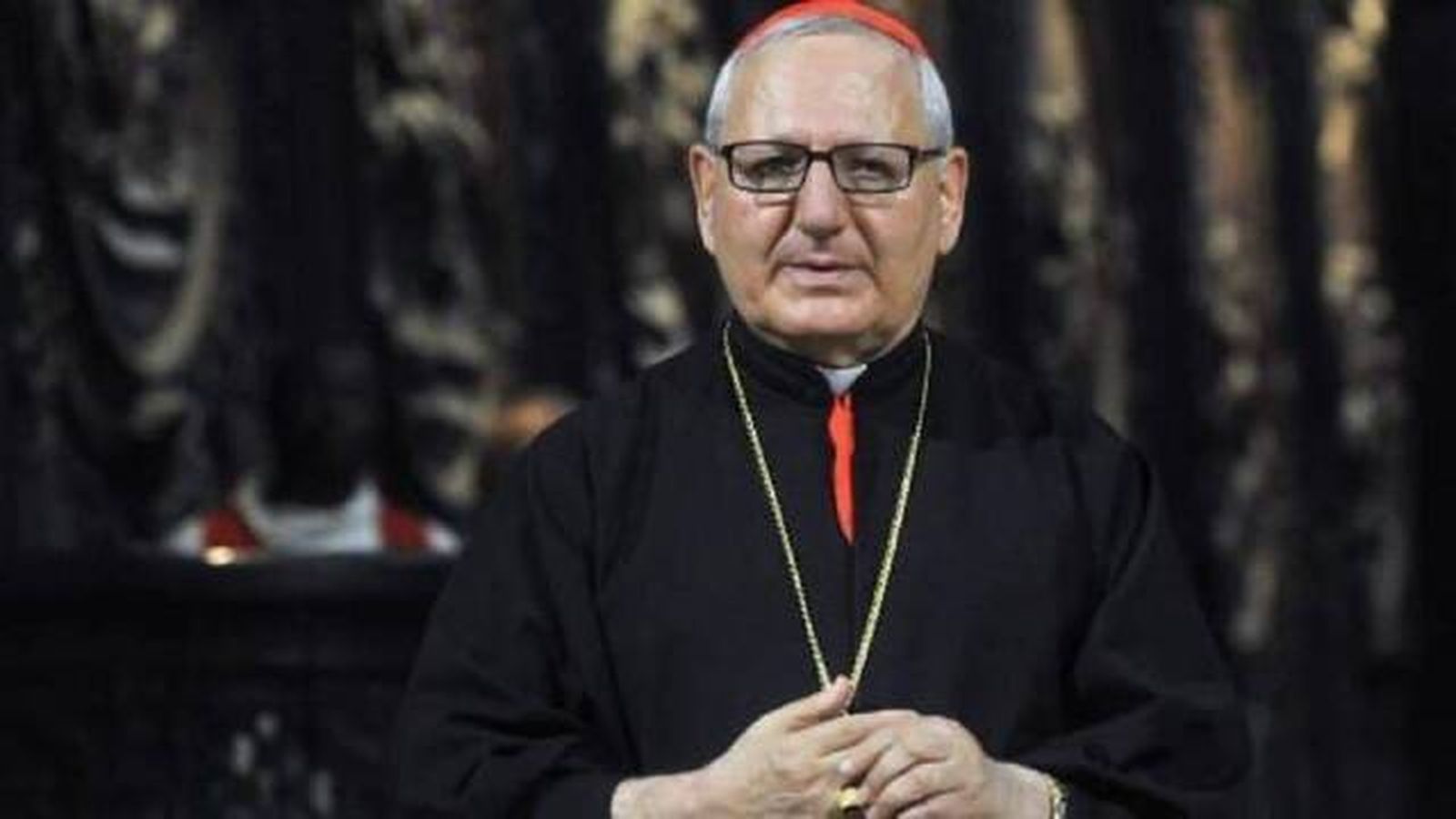Cardenal Sako