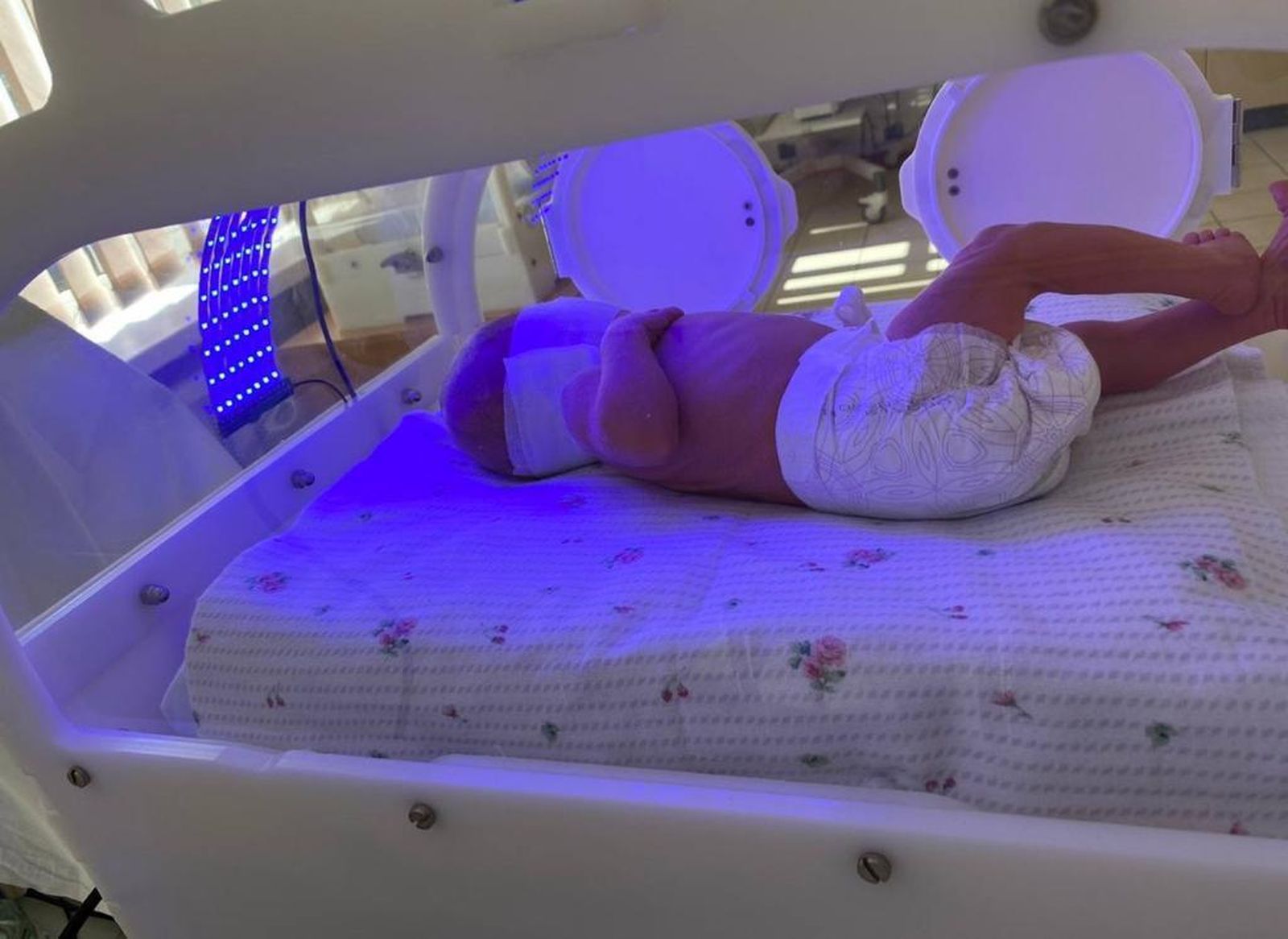 Las cunas ya están en Ucrania