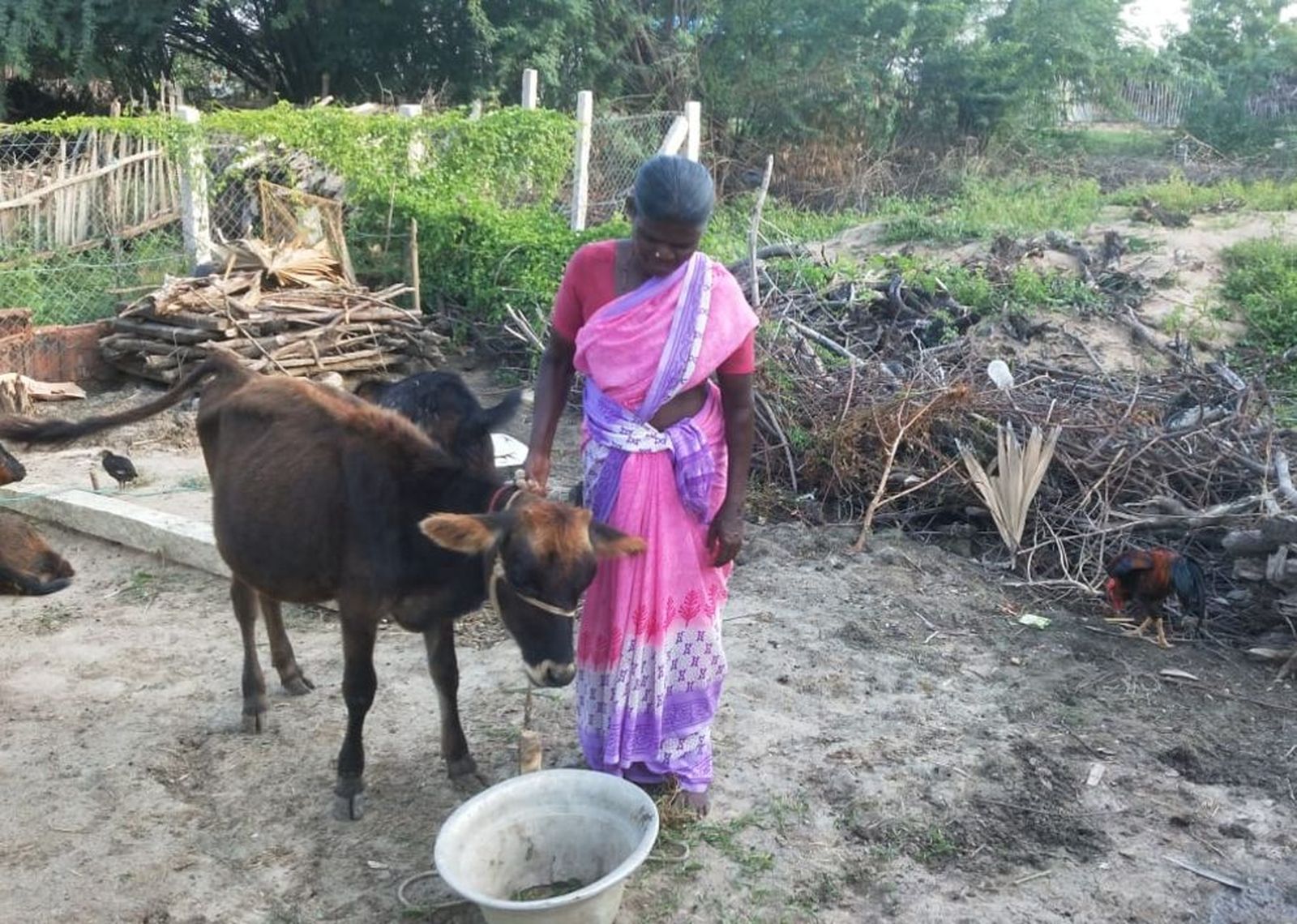 Mujeres indígenas en India