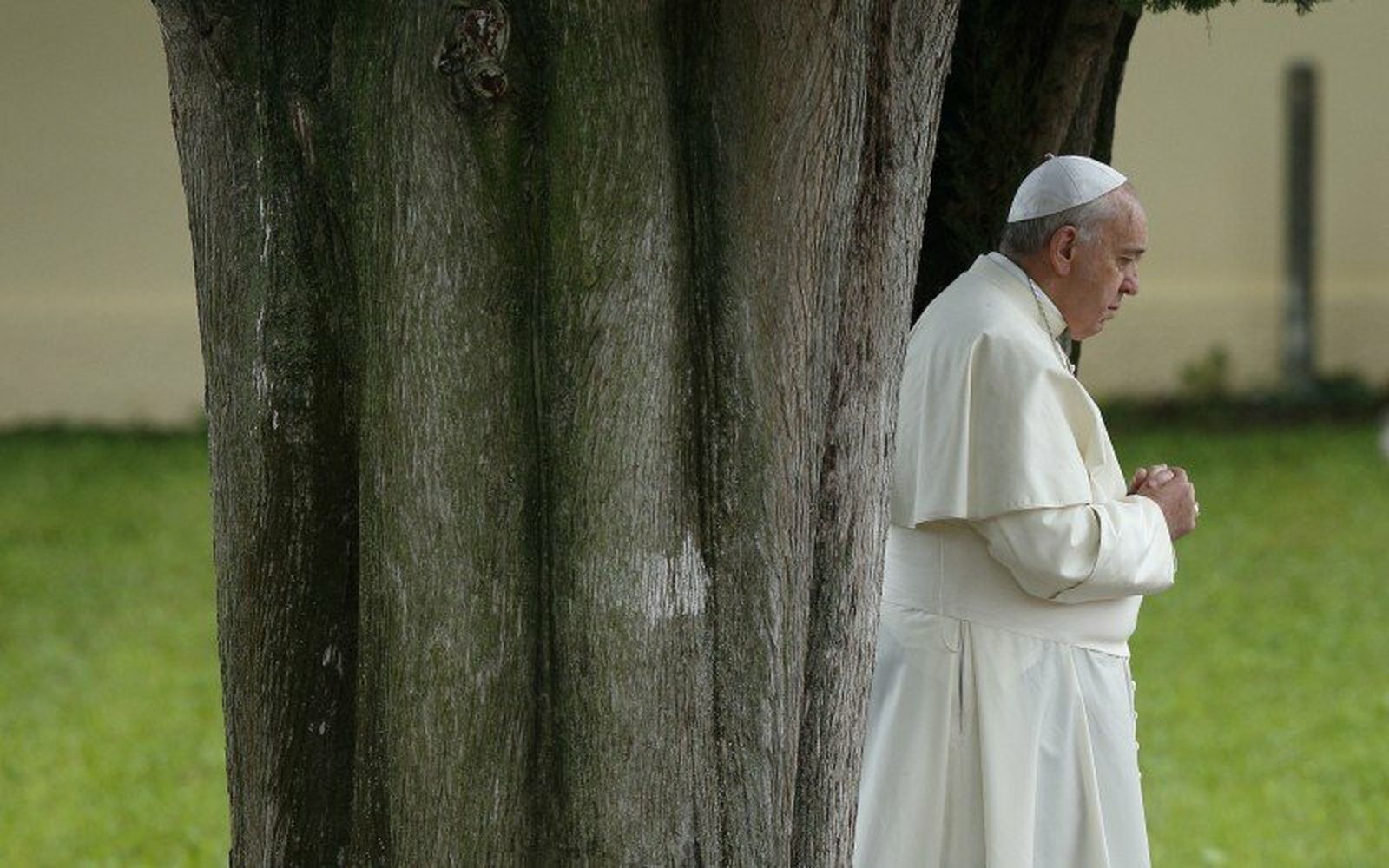 Francisco, por una calidad de vida integralmente ética, humana y mejor